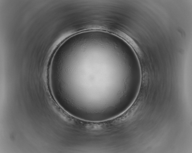 X0000112491051200908171243