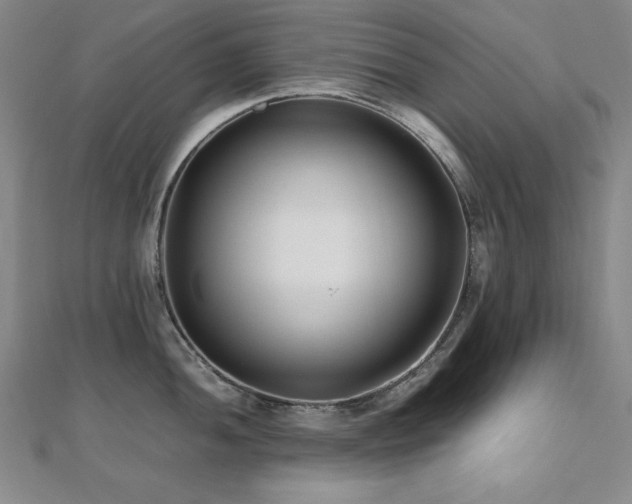 X0000112491052200908171243