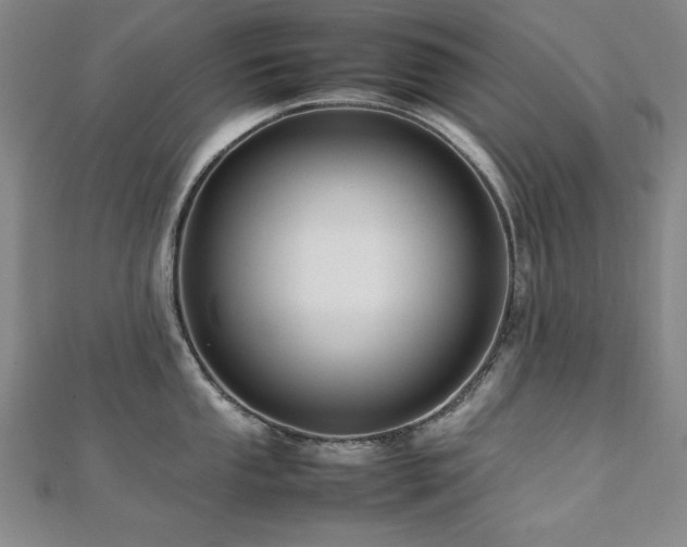 X0000112491053200908171243