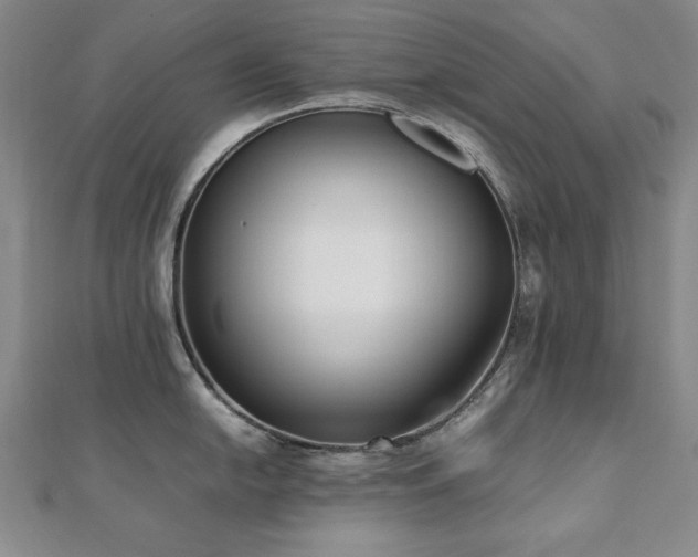 X0000112491054200908171243
