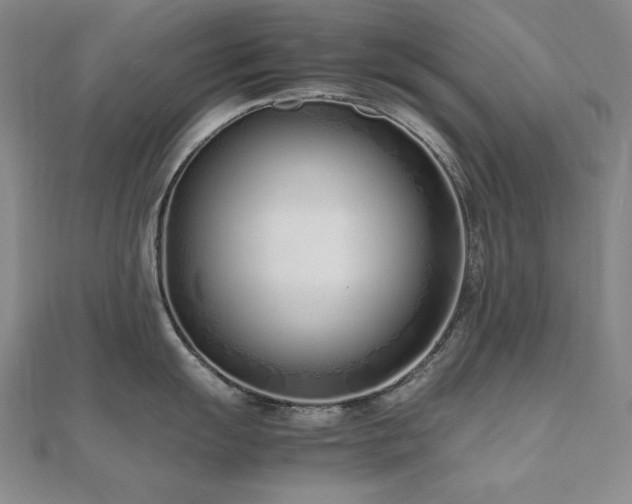 X0000112491055200908171243