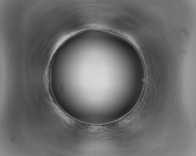X0000112491056200908171243