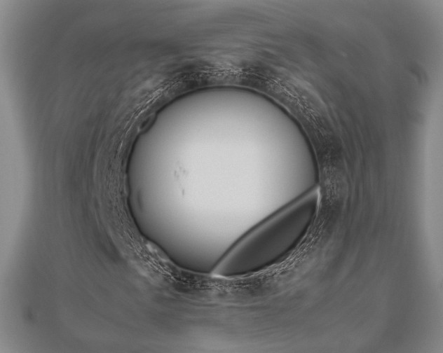 X0000112491057200908171242