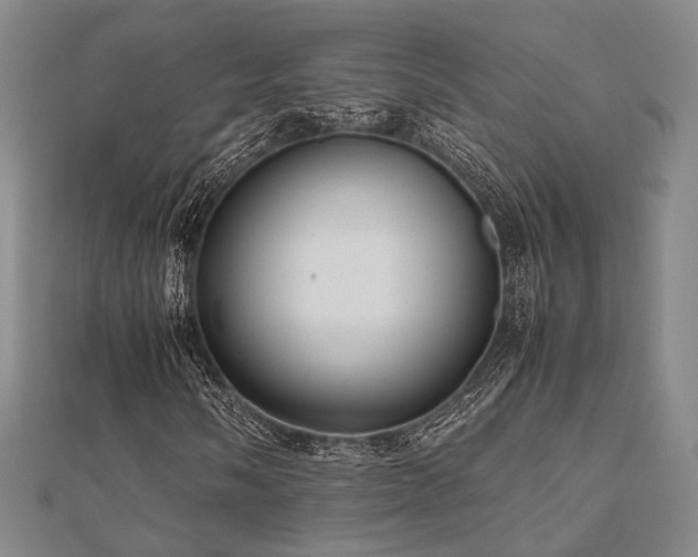 X0000112491058200908171242