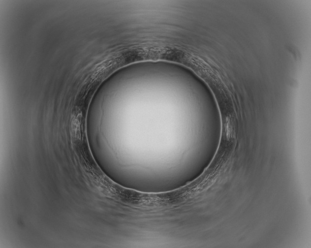 X0000112491059200908171242