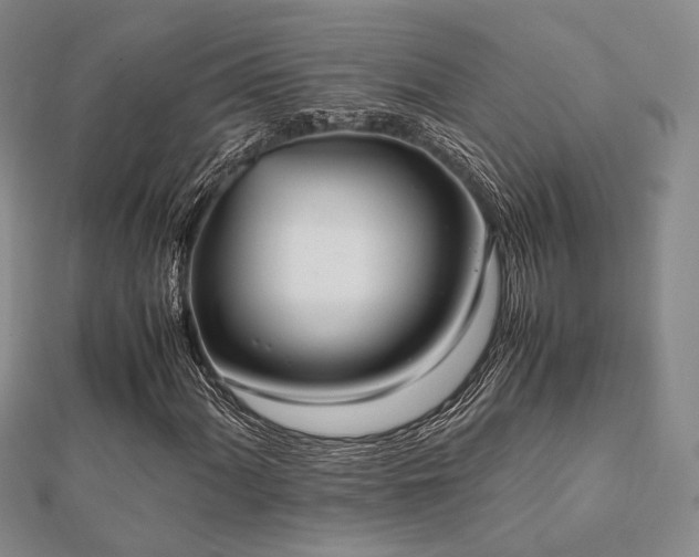 X0000112491060200908171242