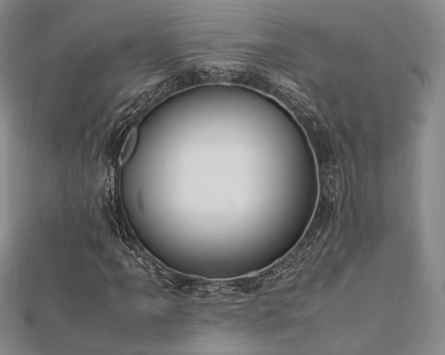 X0000112491061200908171242