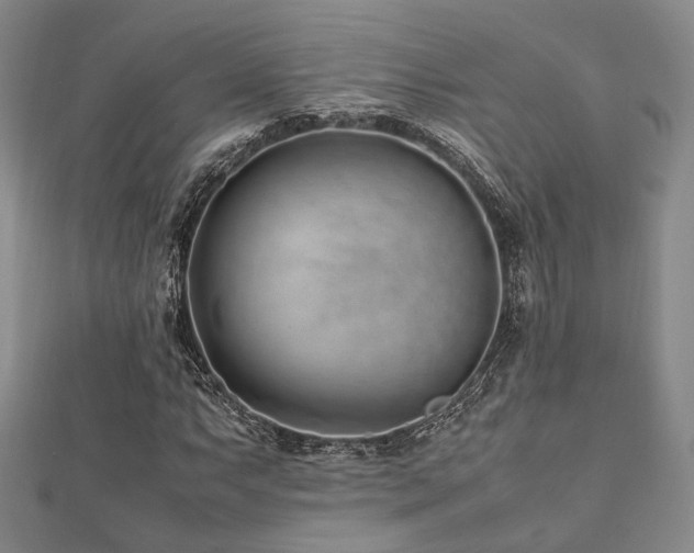 X0000112491063200908171242