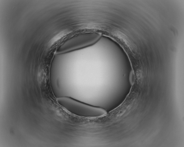 X0000112491064200908171242