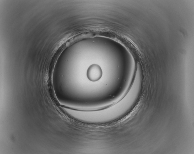 X0000112491065200908171242