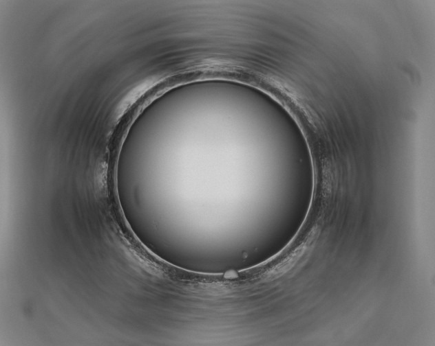 X0000112491066200908171242