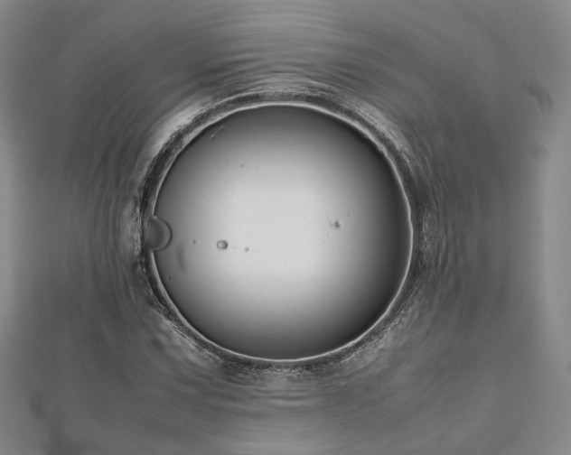 X0000112491067200908171242