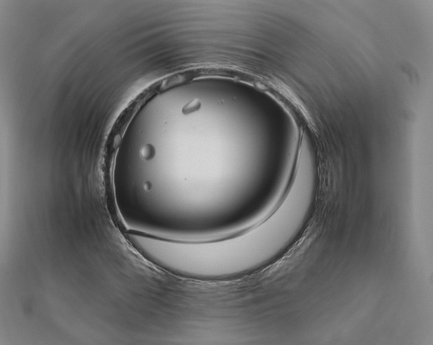 X0000112491068200908171242
