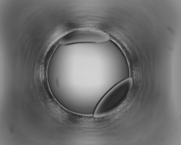 X0000112491069200908171242
