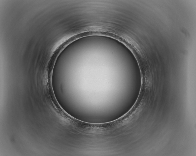 X0000112491070200908171242