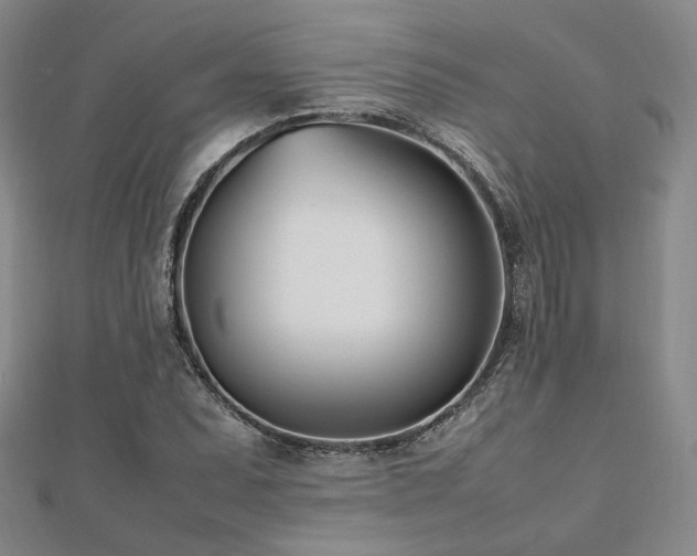 X0000112491071200908171242