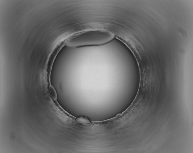 X0000112491072200908171242
