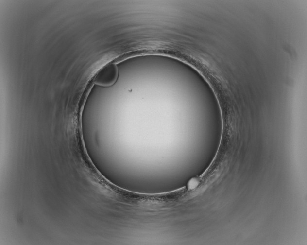 X0000112491073200908171242