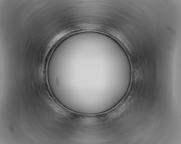 X0000112491074200908171242