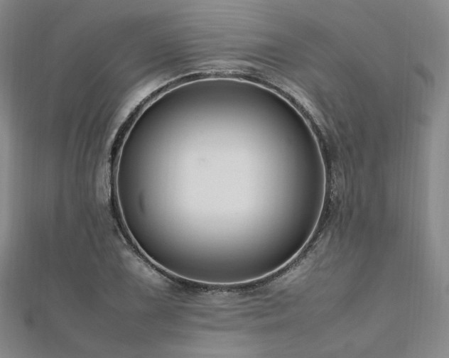 X0000112491075200908171242