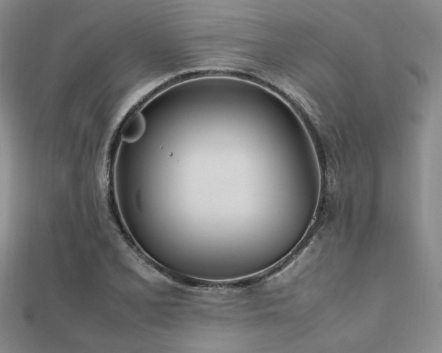 X0000112491077200908171242