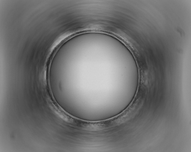 X0000112491078200908171242