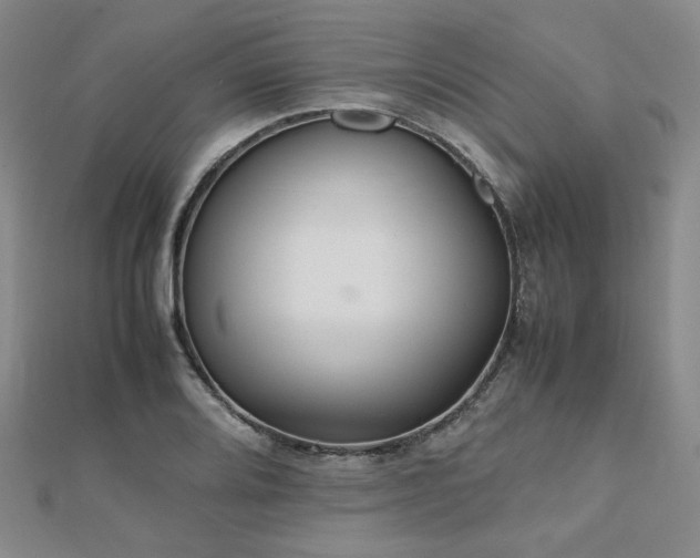 X0000112491080200908171242