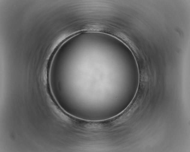 X0000112491083200908171242