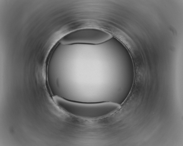 X0000112491084200908171242