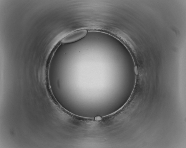 X0000112491085200908171242