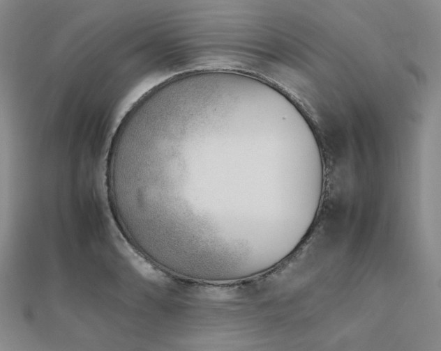 X0000112491086200908171242