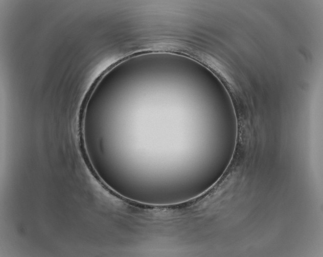 X0000112491087200908171242
