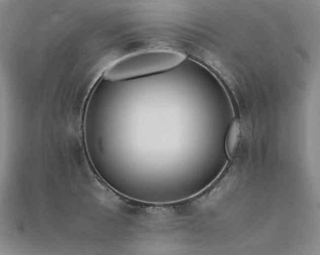 X0000112491089200908171242