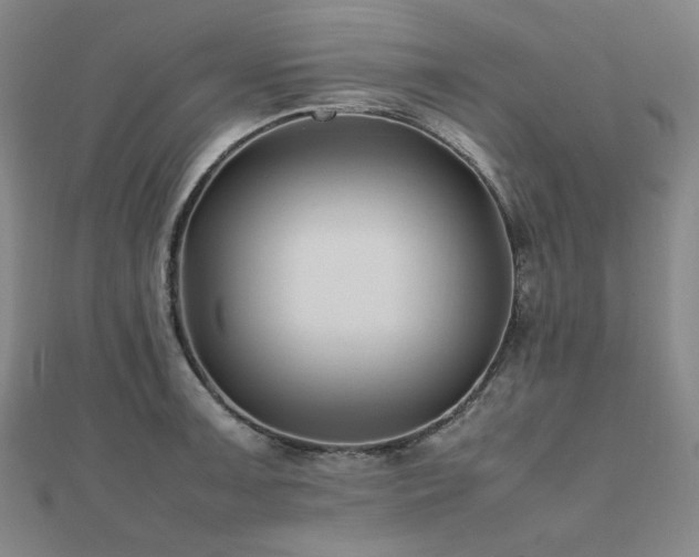 X0000112491091200908171242