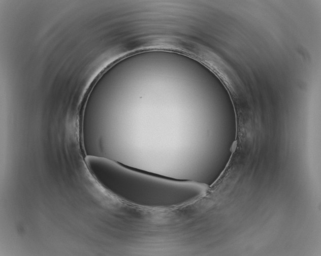 X0000112491092200908171242