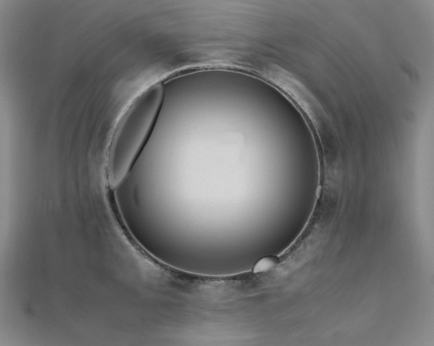 X0000112491093200908171242