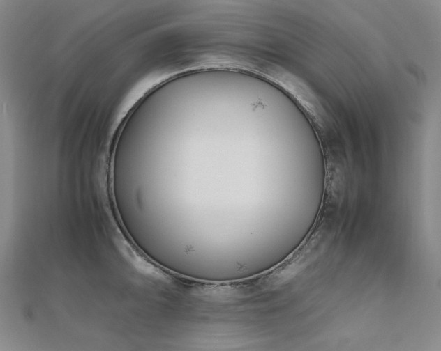 X0000112491094200908171242