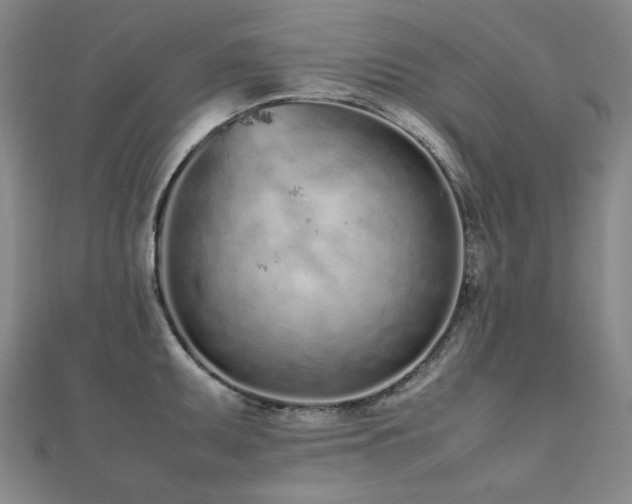 X0000112491095200908171242