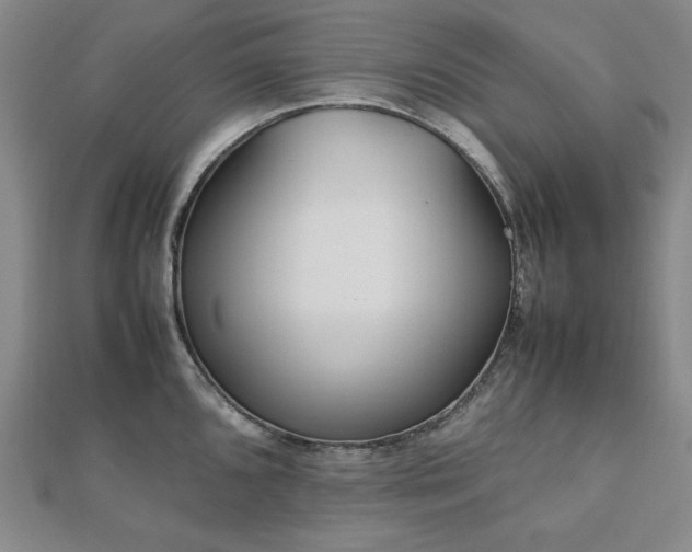 X0000112491096200908171242