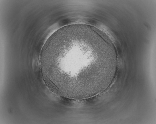 X0000112491097200908171242