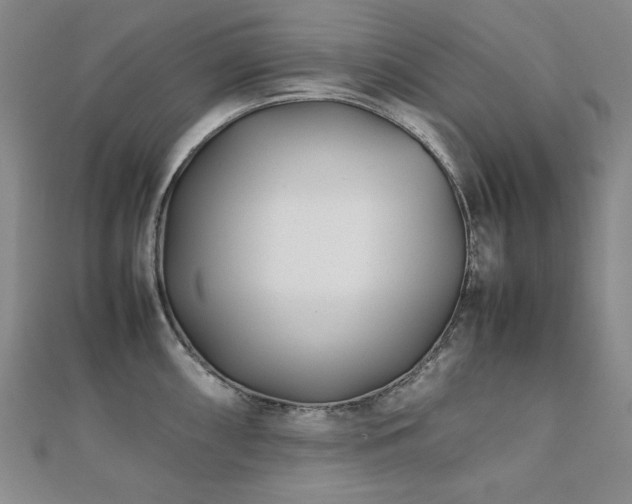 X0000112491098200908171242