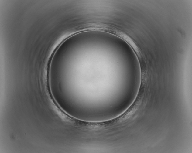 X0000112491099200908171242