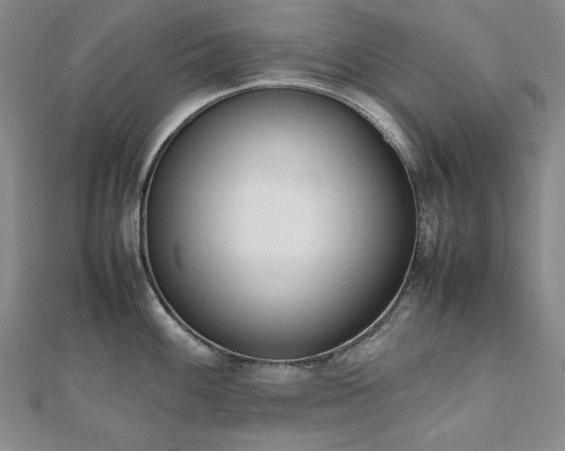 X0000112491100200908171242