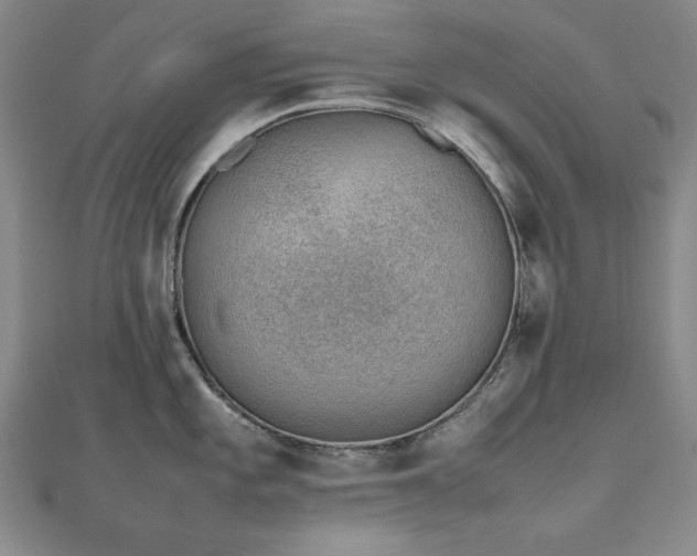 X0000112491101200908171242