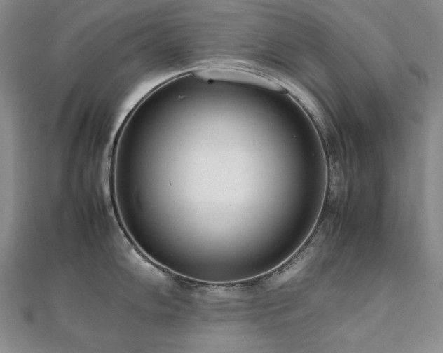 X0000112491102200908171242