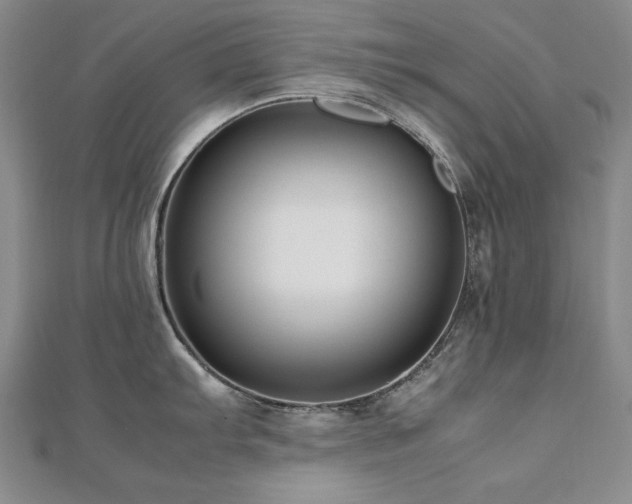X0000112491103200908171242