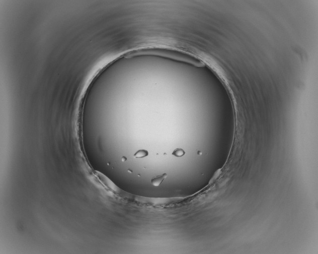 X0000112491104200908171242