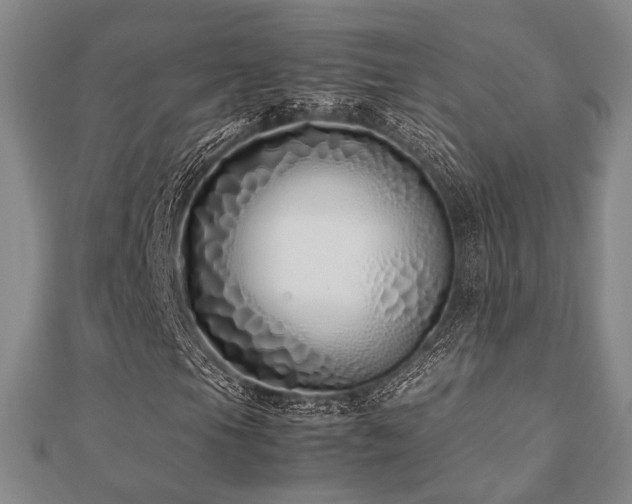 X0000112491105200908171241