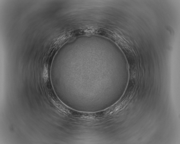 X0000112491106200908171241