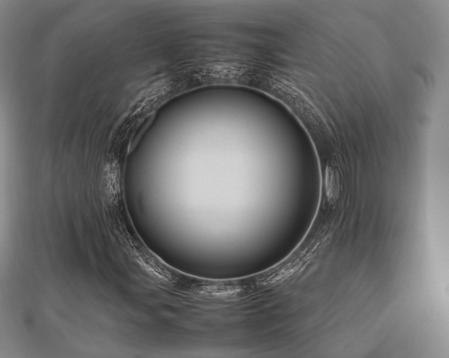 X0000112491107200908171241